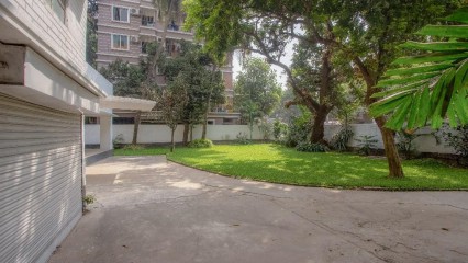 The mango tree as a neighborhood feature